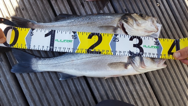Fish Measure Picture